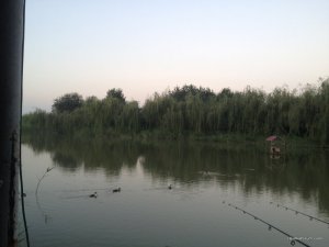 IMG_3434.JPG