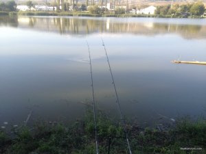 IMG_3462.JPG