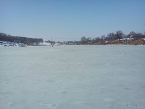 DSC01161.jpg