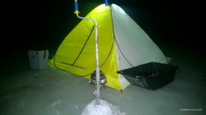 WP_20170301_001[1].jpg