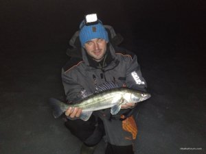IMG_2017-03-02_041052.jpg