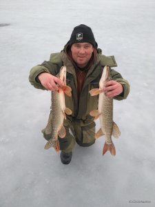 IMG_2017-03-02_063722.jpg