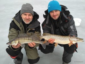 IMG_2017-03-02_073952.jpg