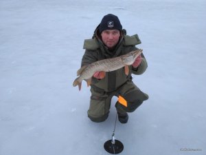 IMG_2017-03-02_061839.jpg
