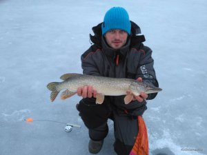 IMG_2017-03-02_062219.jpg