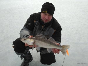 IMG_2017-03-02_075858.jpg