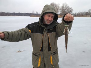 IMG_2017-03-02_063342.jpg
