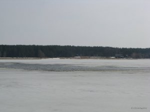 IMG_0079.JPG