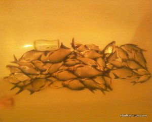 upload_2017-3-3_11-16-36.jpeg