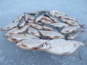 IMG_1545.JPG