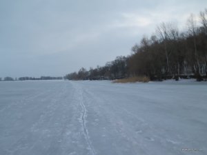 IMG_1550.JPG