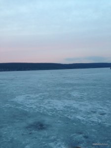 IMG_0785.JPG