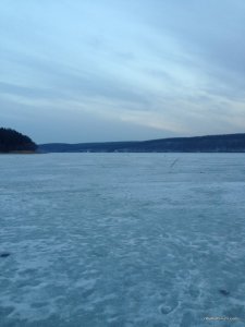 IMG_0786.JPG