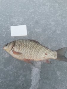 20170303_121031.jpg
