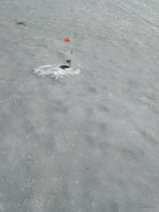 IMG_20170303_142541.jpg