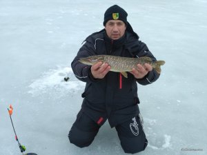 IMG_20170303_095614.jpg