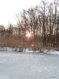 20170304_064815.jpg
