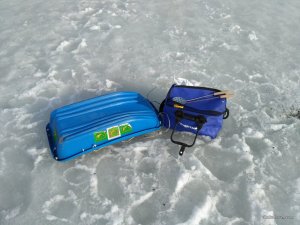 IMG_20170303_143211.jpg