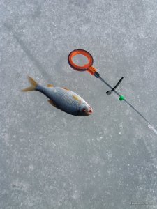 20170304_105600.jpg