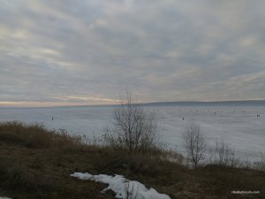 IMG_20170304_065038.jpg