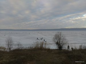 IMG_20170304_065045.jpg