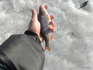 IMG_20170304_085511.jpg
