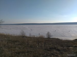 IMG_20170304_155945.jpg