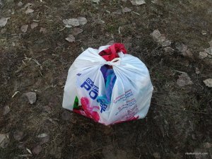 IMG_20170304_160144.jpg