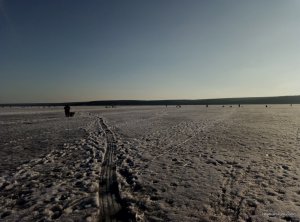 P70304-161707.jpg