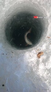 IMG_20170304_105955.jpg
