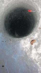 IMG_20170304_105957.jpg