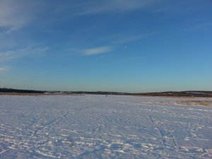 20170216_071351.jpg