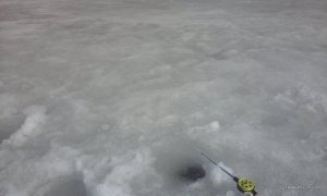 20170304_124800.jpg