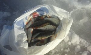 20170304_145734.jpg