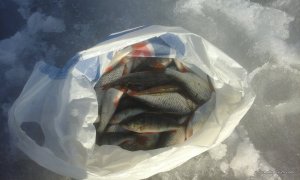 20170304_145737.jpg