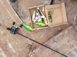 IMG_6521[1].JPG