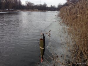 IMG_6523[1].JPG