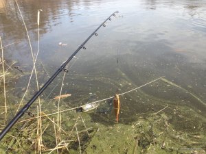 IMG_6517[1].JPG