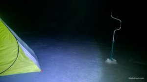 WP_20170305_002[1].jpg