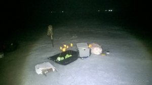 WP_20170305_003[1].jpg