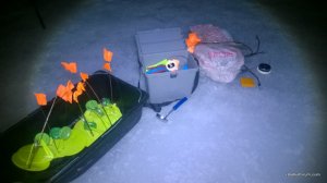 WP_20170305_004[1].jpg