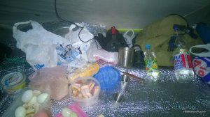 WP_20170305_009[1].jpg
