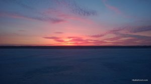 WP_20170305_010[1].jpg