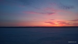 WP_20170305_011[1].jpg