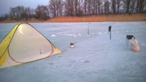 WP_20170305_013[1].jpg