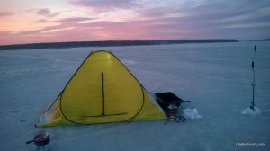 WP_20170305_014[1].jpg