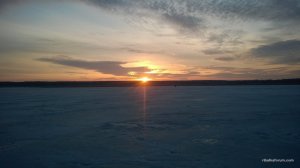 WP_20170305_016[1].jpg