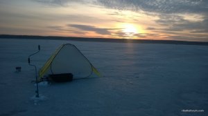 WP_20170305_017[1].jpg