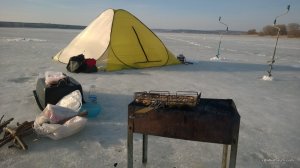 WP_20170305_022[1].jpg