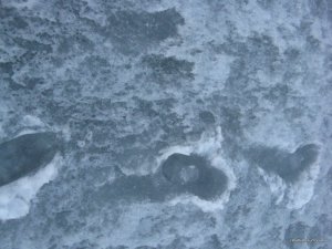 IMG_0092.JPG
